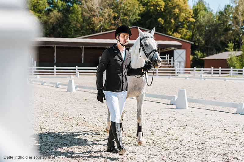 Find de bedste ride tights på envy-equestrian.com